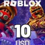 ROBLOX 10 USD GİFT CARD